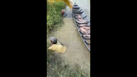 Fish Video | Big Net Fishing | Village Net Fishing