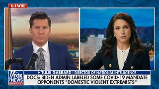 Tulsi Gabbard reveals more on being put on TSA watch list
