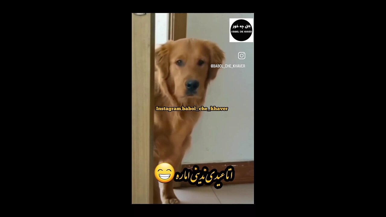 😆🤣تبریک سال نو