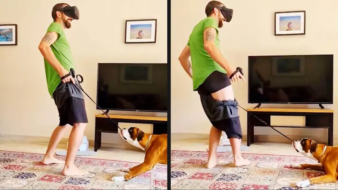 Your Daily Dose of Pets - Apparently It Was His Turn to Play