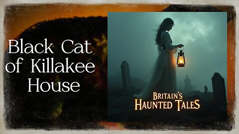 Black Cat of Killakee House