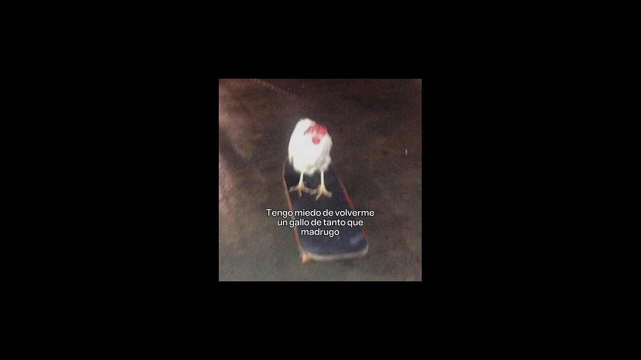 89/365 días | la fockin vibra bro