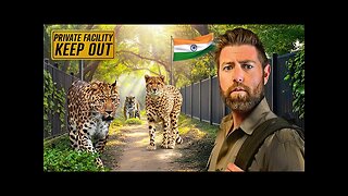 Private Tour of Billionaire's Secret Animal Sanctuary in India