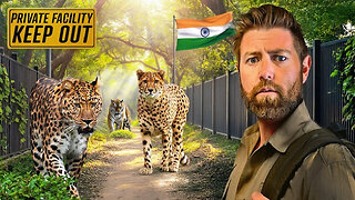 Private Tour of Billionaire's Secret Animal Sanctuary in India