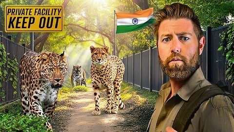 Private Tour of Billionaire's Secret Animal Sanctuary in India