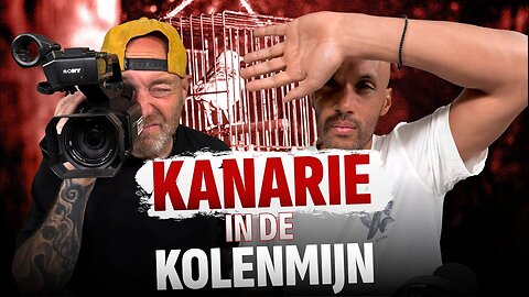 De kanarie in de kolenmijn | #212
