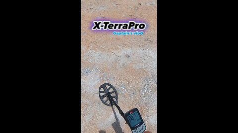 Beach Clean Up Metal Detecting Minelab X-TerraPro