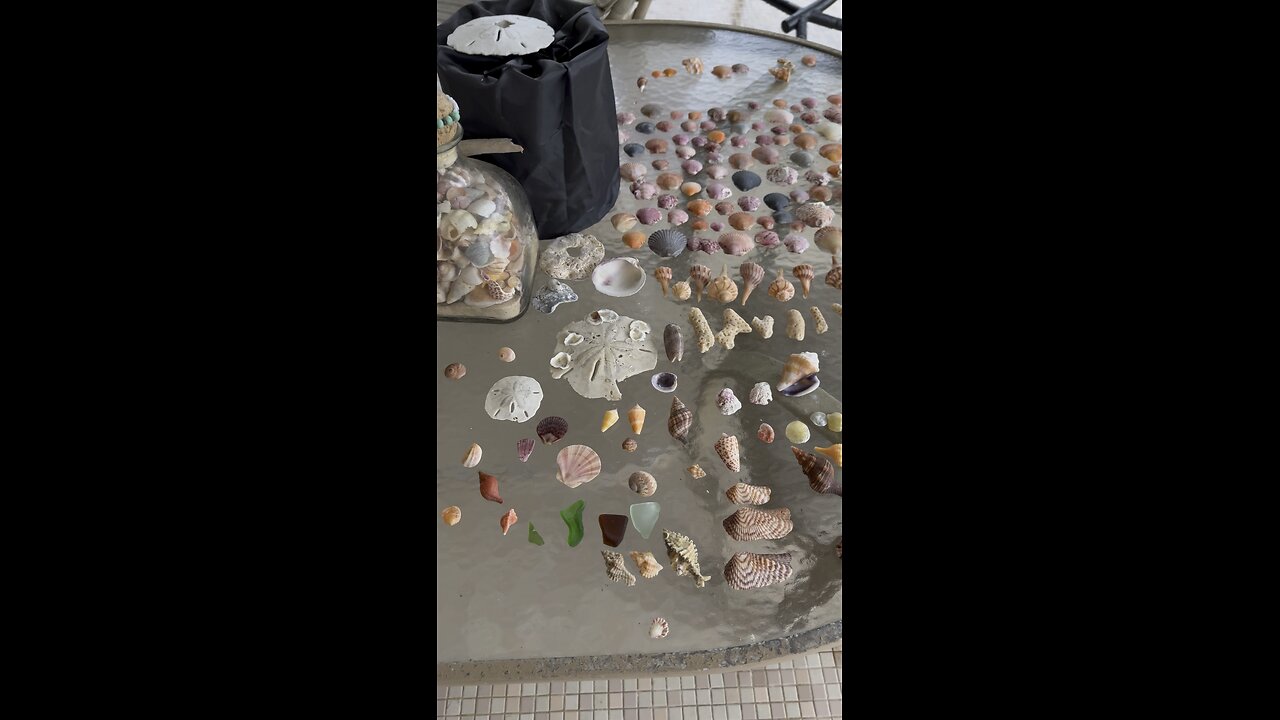 Beach Finds 6/22/2025 | 4K