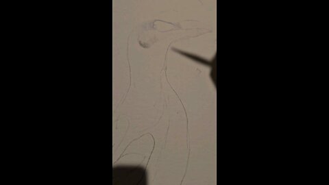 a quick doodle speeddrawing of a real penguin 🐧 #shorts #art #speeddrawing #penguin