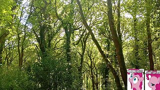 02, hike , woods, humiditties , thoughts, stealth