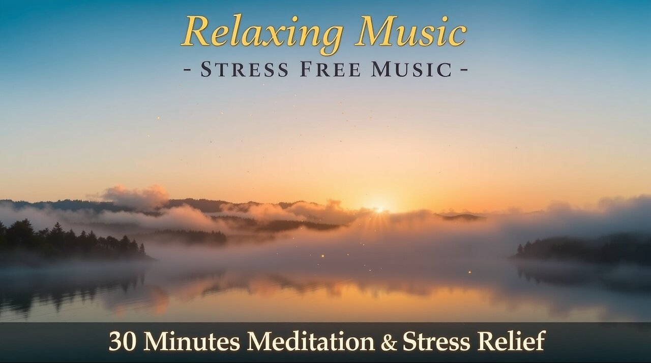 Relaxing Music | Stress Free Music | Meditation Music | 30 Minutes Stress Relief