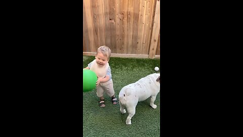 funny videos 😂🤣, funny baby,