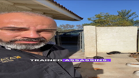 My Dealership Hired Trained Assassins… They’re Furry and Ruthless 😼🚗 #Cats #Assassin #Catlovers