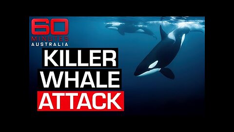 Distressing footage of SeaWorld trainer surviving killer whale attack in 2006 | 60 Minutes Australia