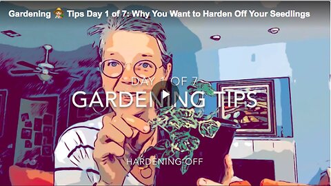 "Discover the Importance of Hardening Off Your Seedlings"
