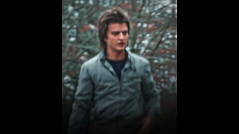 The king steve harrington edit