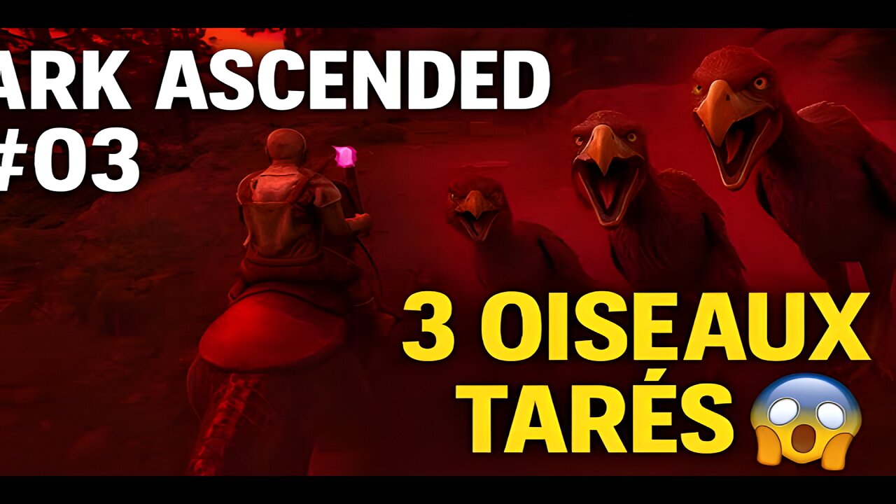 Ark Ascended #03 – Une tortue ? Non. Trois oiseaux psychopathes.