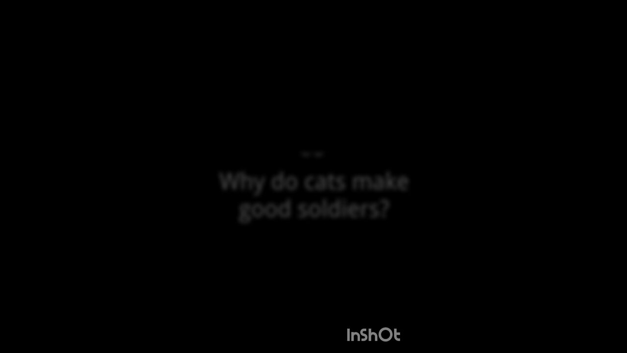 English riddles with answers