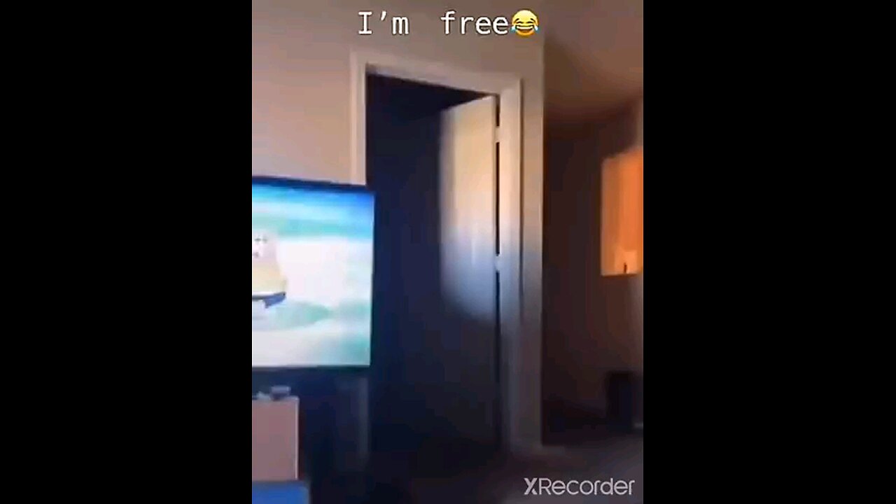 I'm free 🤣