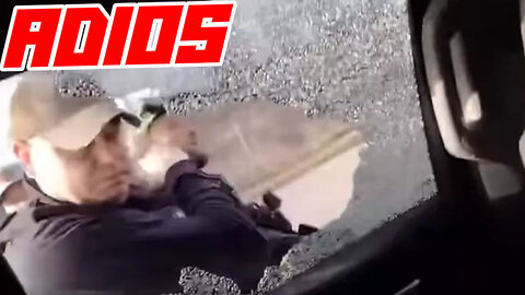 Media Upset ICE Smashes Window & Grabs Burglar & Drive By Shooter