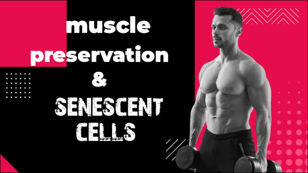 muscle loss & the effects of senescent cells
