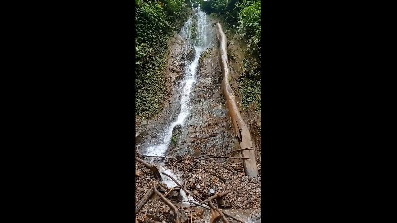 it's beautiful
