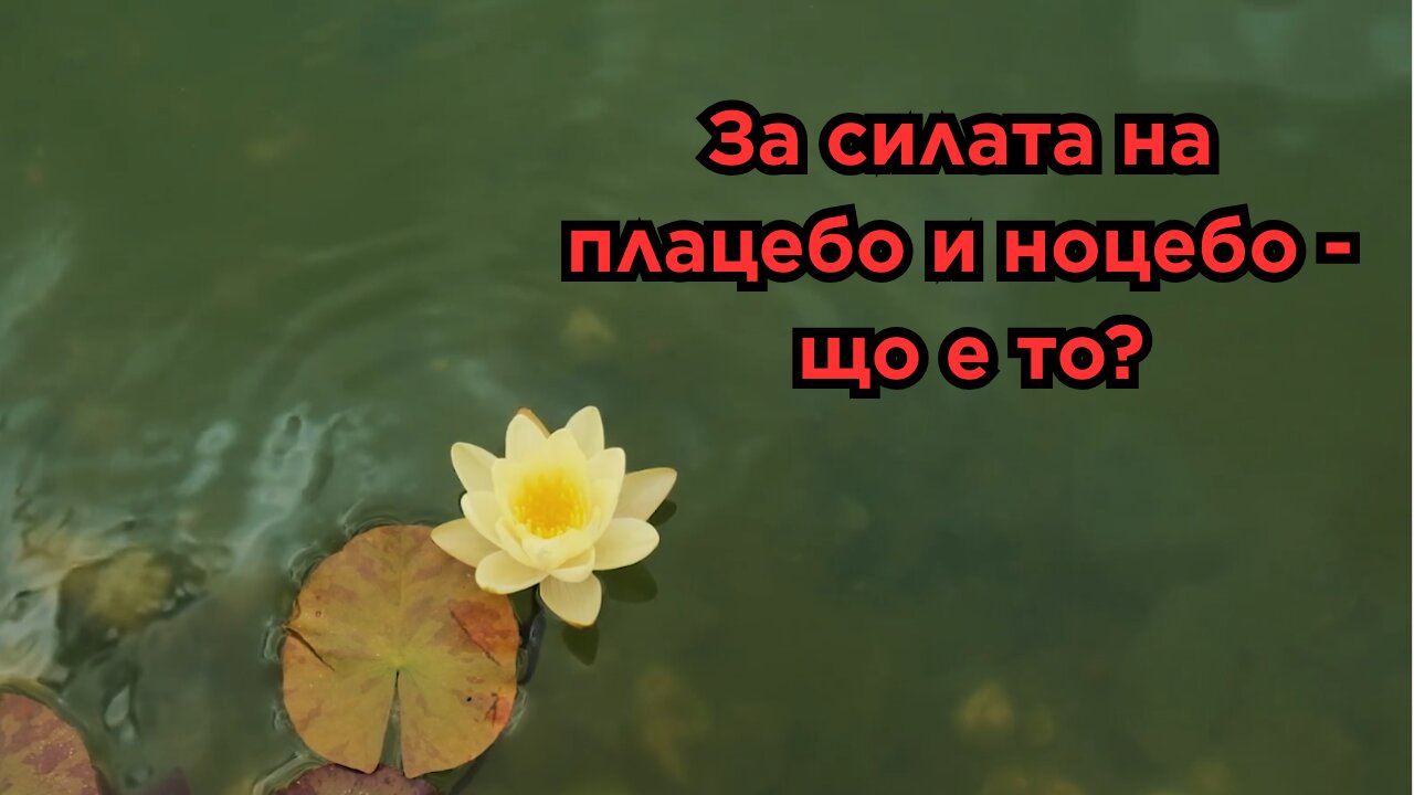 За силата на мисълта и обратната страна на плацебо ➡️ ноцебо