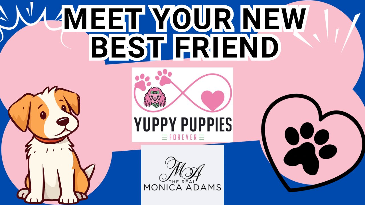 Are you looking for your best friend? Today is the Parade of Animals!