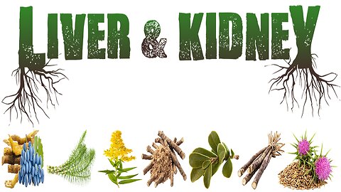 Liver & Kidney Herbal Extract Review