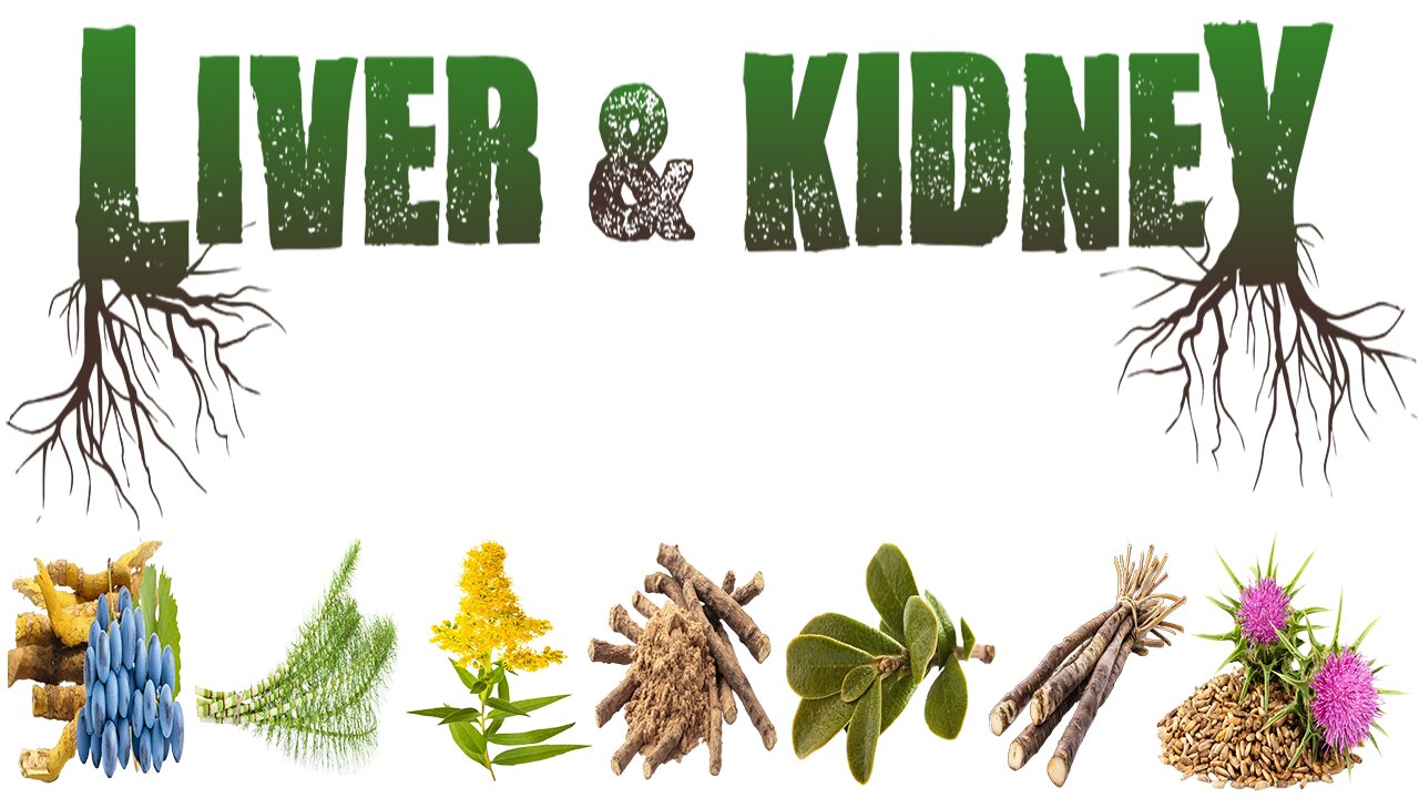 Liver & Kidney Herbal Extract Review