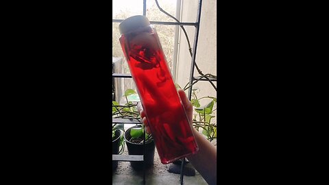 Detox Water| Healthy lifestyle |