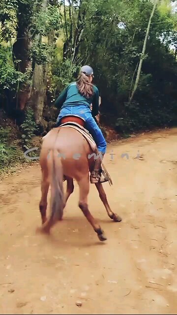 NEWSMAX2 LIVE | Real News for Real People? Too funny!How cute is that.. | Please Follow me