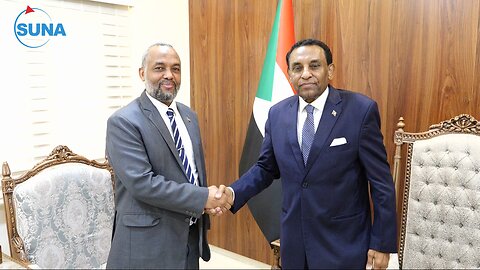 Dr. Kamel meets with the Undersecretary of Health and receives a short-term action plan