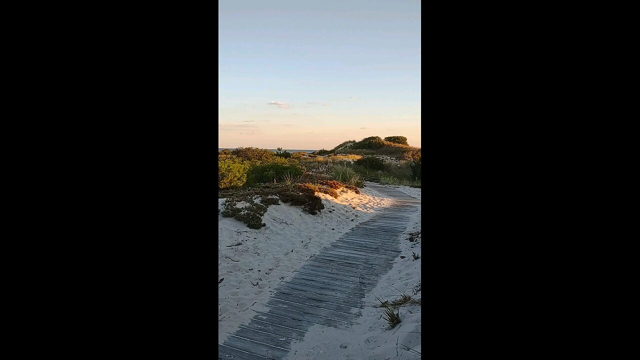 Barnegat Light, NJ. Beach Nature 🍃🍄‍🟫🌲 trail