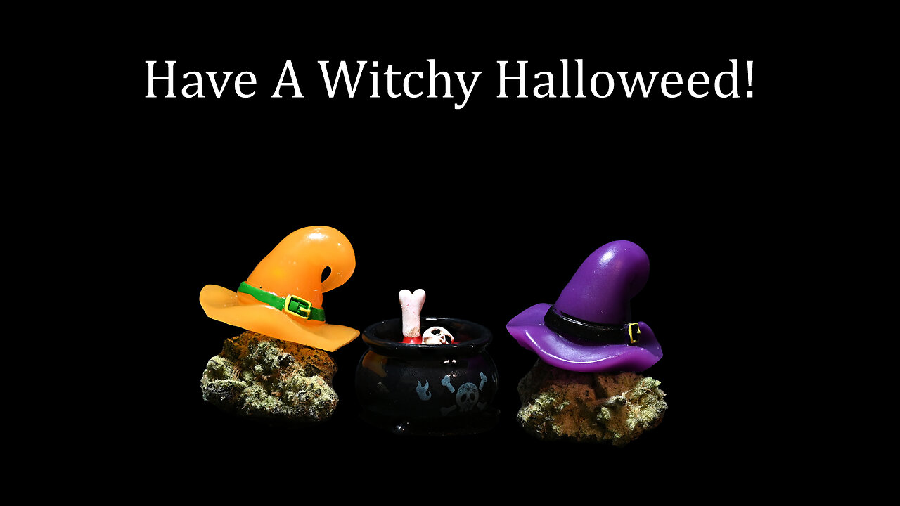 Thoughtswarm rip weed