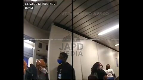 Woman Forcibly Removed from Plane After Defying Airport Rules #aviationincident #japd