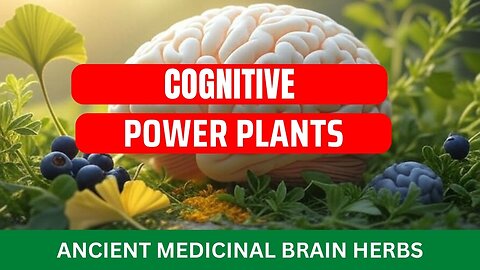 Protecting Brain Health with Medicinal Herbs