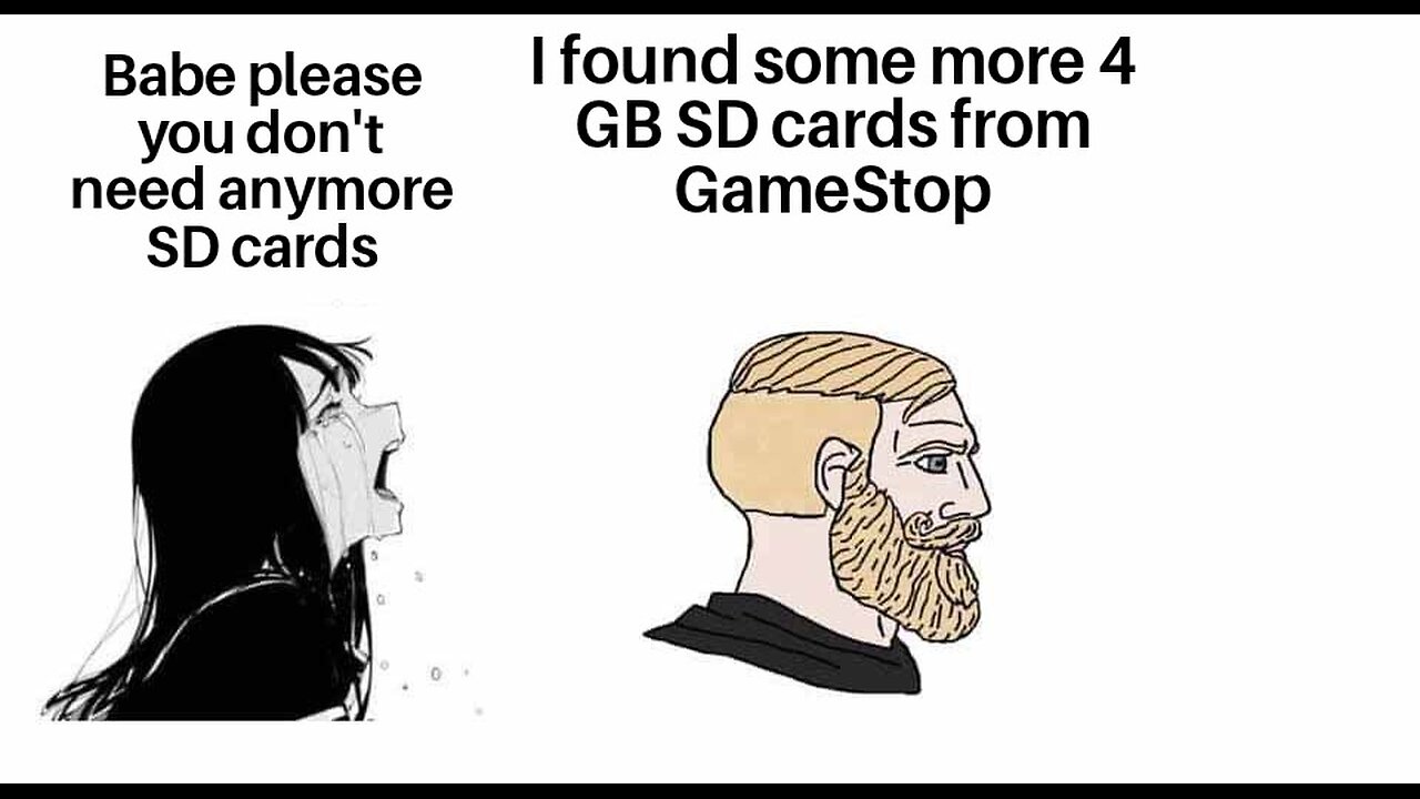 I bought 2 new SD cards