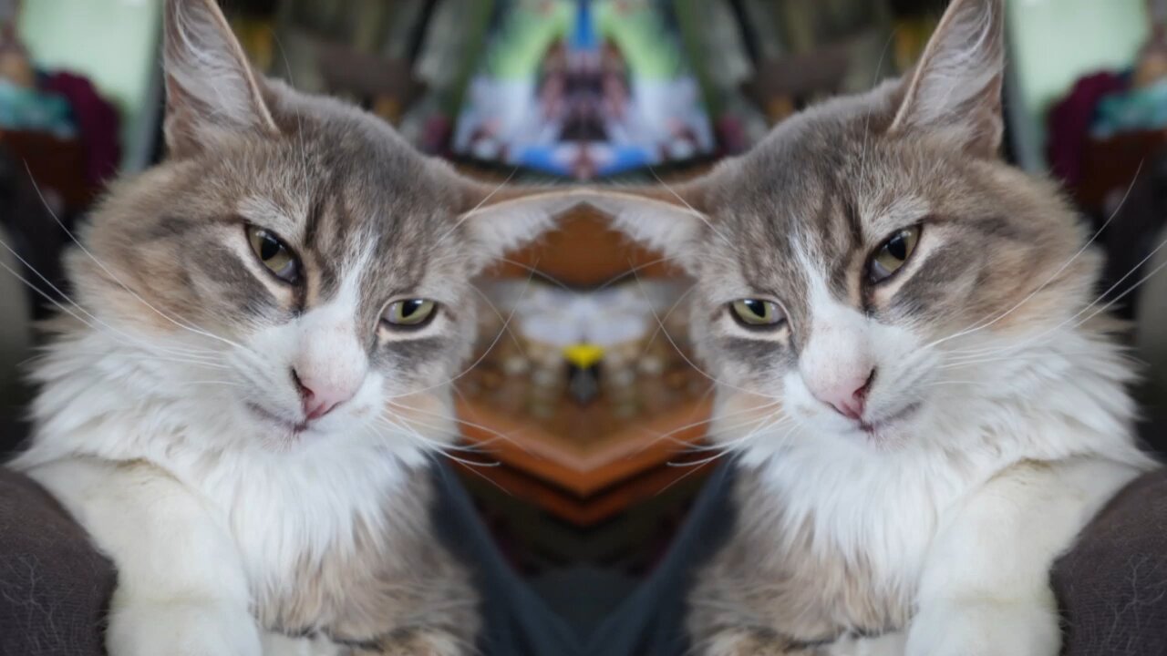 Horizenz (MrRightOne)