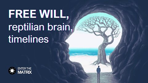 E0019 ENTER THE MATRIX - FREE WILL, reptilian brain, timelines