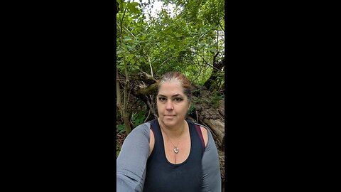 Manifestation and self presentation