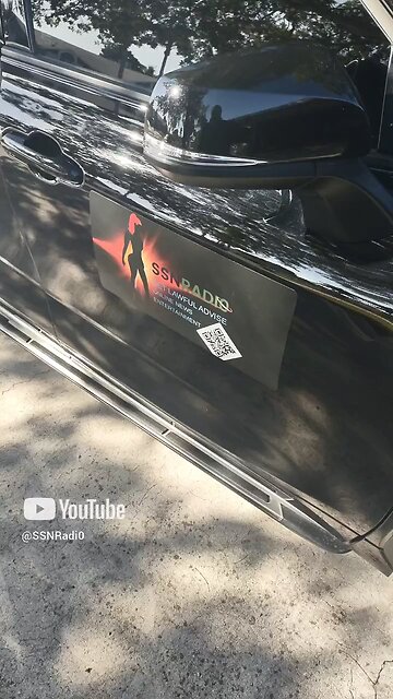 Sure Fine Sugar Shocks 🐻‍❄️