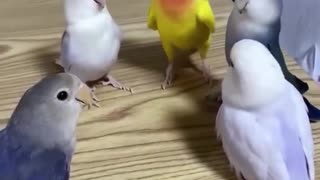 😂🤣 This is a whole board meeting right here! | FunFM