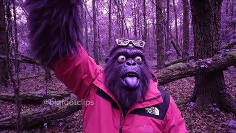 weird shit one has lift off