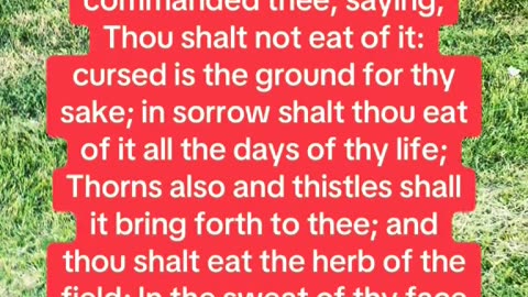 BY THE SWEAT OF THY BROW