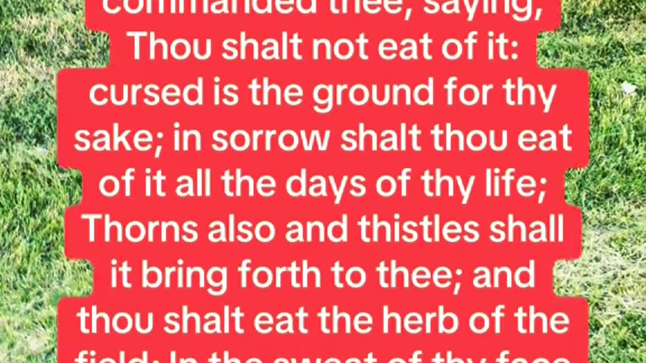 BY THE SWEAT OF THY BROW