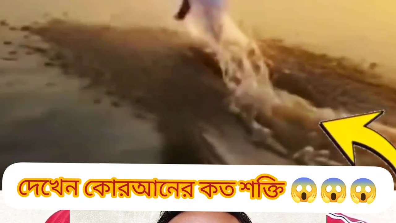 🔥 “Quranic Miracle Reaction – Ali Running on Water Story Explained!” 🔥