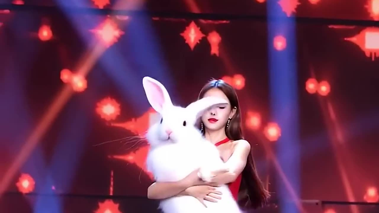 secret of the rabbit's