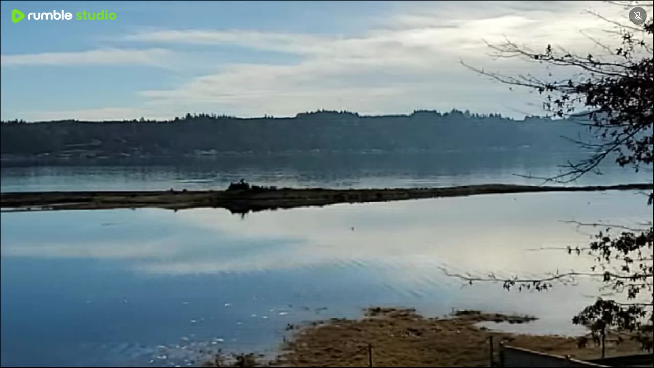 Relaxing afternoon on the water