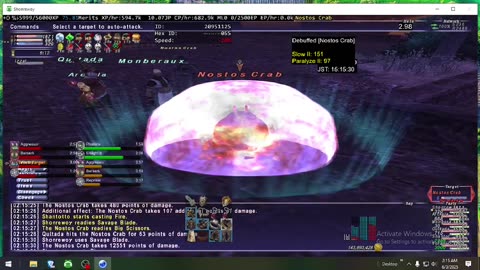 Playing Final Fantasy XI Online